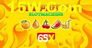 Programa VIP 65X