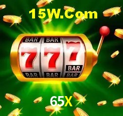 Login Seguro 65X