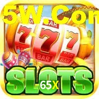 65X App Interface